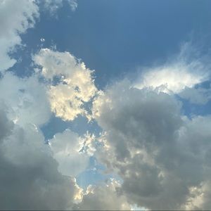 Meet your Posher, Abigail